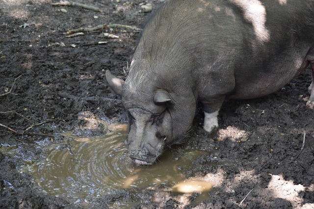 联盟逐渐变 联盟逐渐变