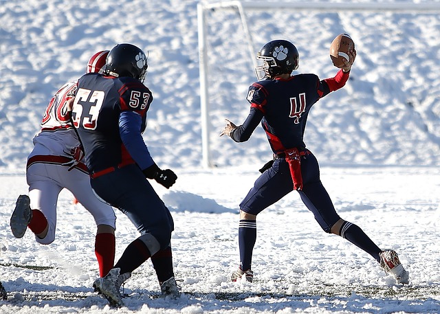 王的数据和 王的数据和