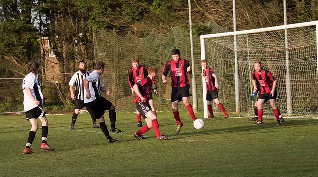 胜利护航 胜利护航