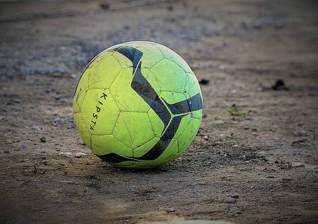 新作《海底小纵队》加入史诗特效，适合全家共赏，并体现勇气与成长.