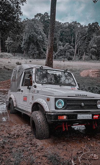 黄蜂队三球赛季报销，为争夺弗拉格再次备战.